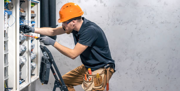 Best Electric Panel Repair  in Acres Green, CO